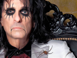 Alice Cooper photo #