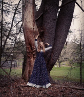 Amanda Seyfried photo #
