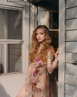photo 27 in Seyfried gallery [id1328517] 2023-06-12