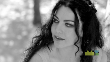 photo 25 in Amy Lee gallery [id823211] 2015-12-30