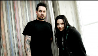 photo 27 in Amy Lee gallery [id740270] 2014-11-12