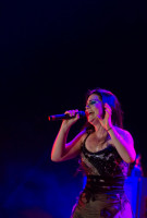 photo 9 in Amy Lee gallery [id814293] 2015-11-23
