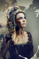 Amy Lee photo #