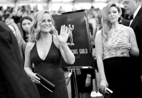 Amy Poehler photo #