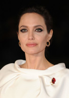 photo 24 in Angelina Jolie gallery [id744274] 2014-11-29