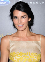 Angie Harmon photo #