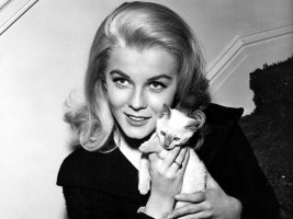 Ann-Margret photo #