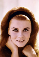 Ann-Margret photo #