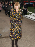 photo 15 in Anna Wintour gallery [id349324] 2011-02-28