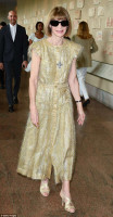 Anna Wintour photo #