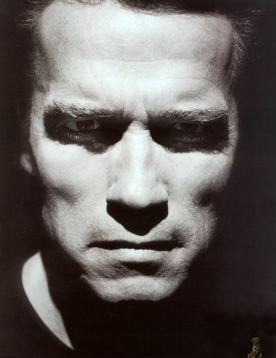Arnold Schwarzenegger: pic #8398