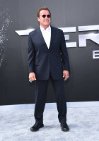 photo 9 in Schwarzenegger gallery [id782938] 2015-07-09