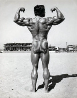 Arnold Schwarzenegger photo #