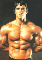 Arnold Schwarzenegger photo #