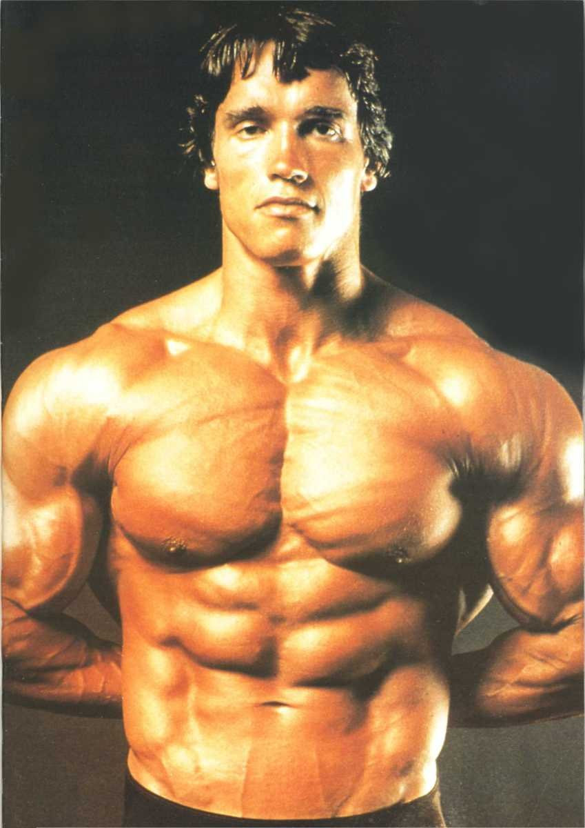 Arnold Schwarzenegger: pic #835351