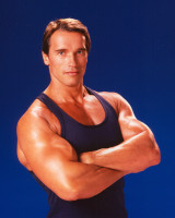 Arnold Schwarzenegger photo #