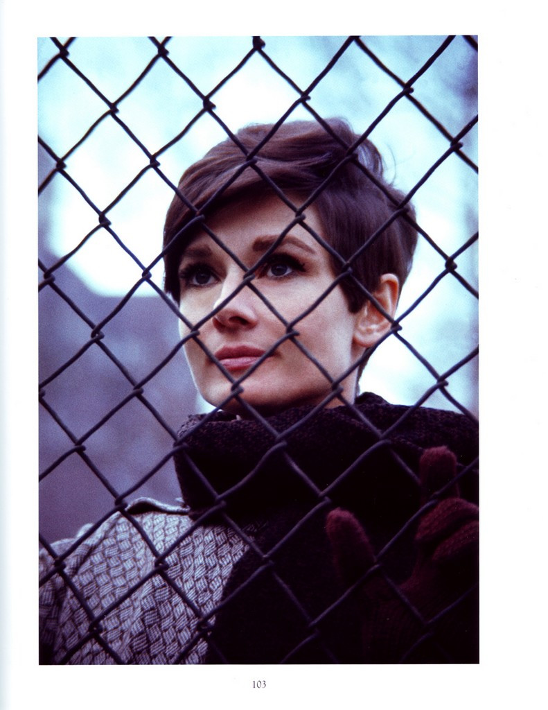 Audrey Hepburn: pic #384817