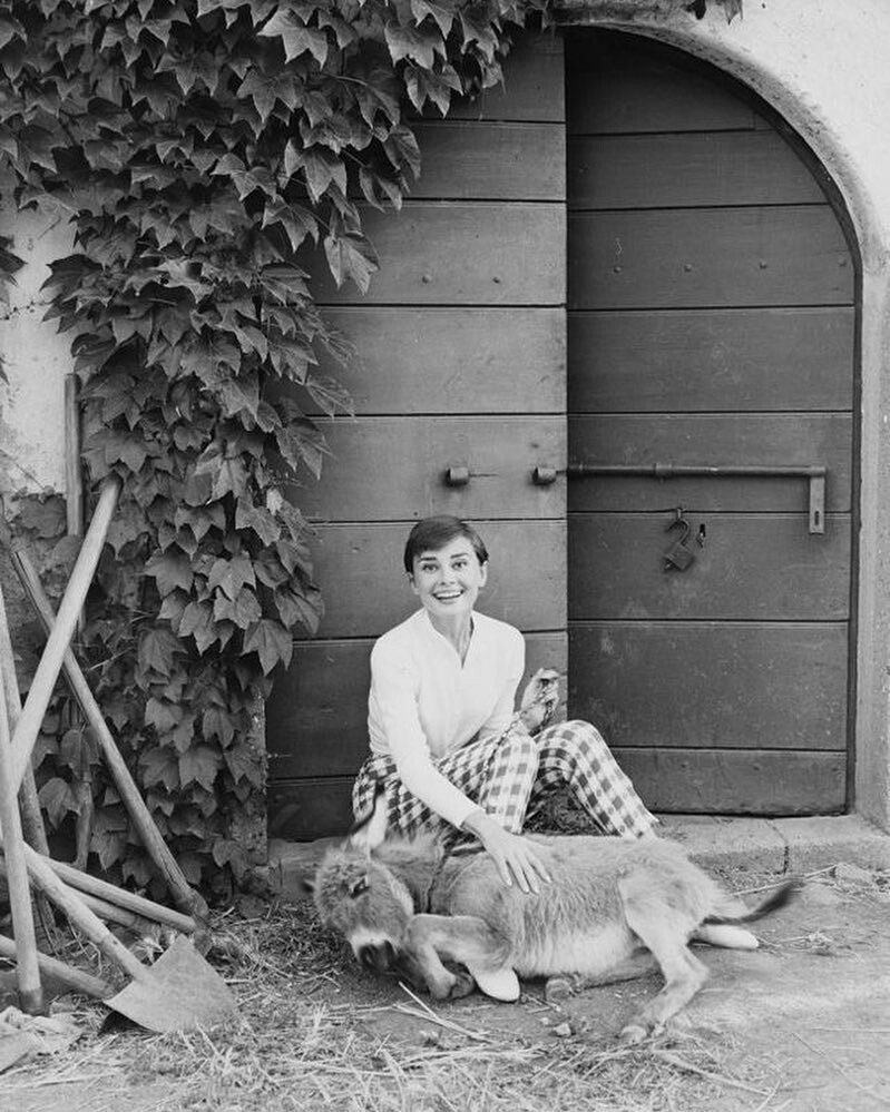 Audrey Hepburn: pic #1157210