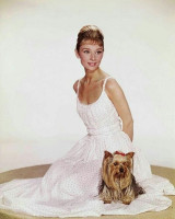 Audrey Hepburn pic #1157215