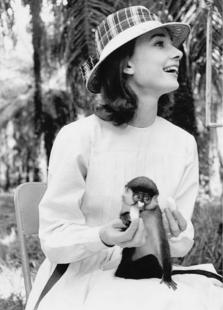 Audrey Hepburn: pic #488875