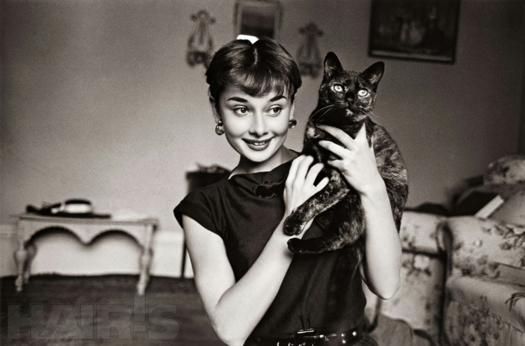 Audrey Hepburn: pic #456243