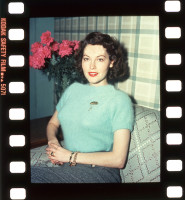 Ava Gardner photo #