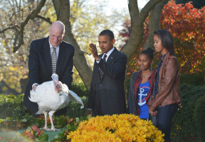 Barack Obama photo #