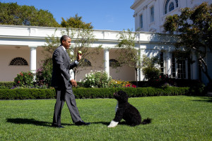 Barack Obama photo #