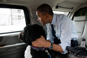 photo 5 in Obama gallery [id607869] 2013-06-04
