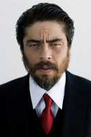 Benicio Del Toro photo #