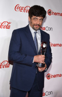 Benicio Del Toro photo #