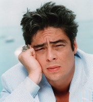 photo 22 in Benicio Del Toro gallery [id91018] 2008-05-21