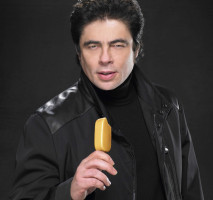 Benicio Del Toro photo #