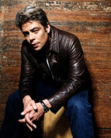 photo 15 in Benicio Del Toro gallery [id274002] 2010-07-30