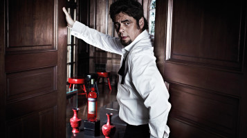 Benicio Del Toro photo #