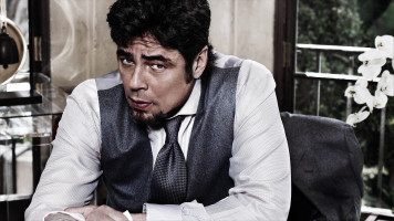 photo 7 in Benicio gallery [id313706] 2010-12-15