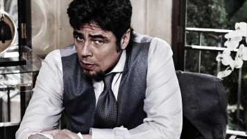 Benicio Del Toro photo #