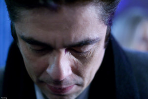 Benicio Del Toro photo #