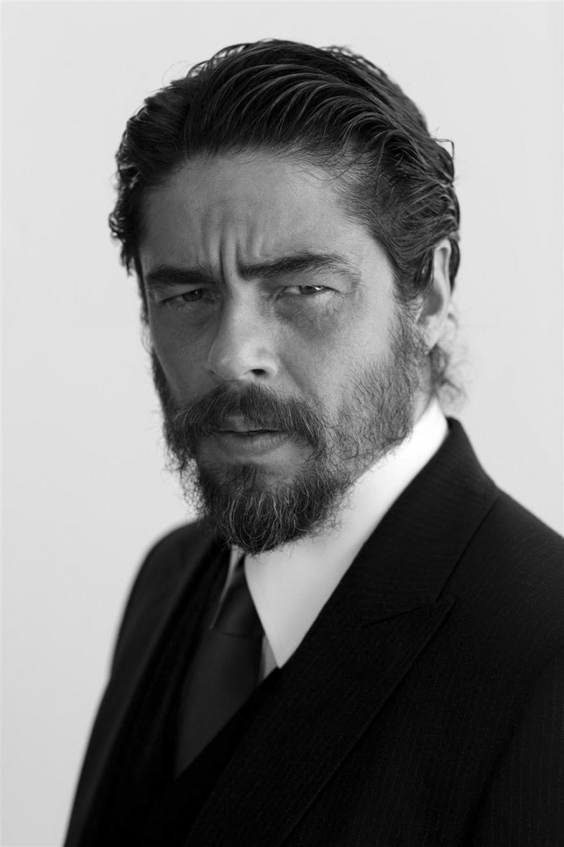 Benicio Del Toro: pic #106292