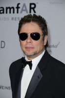 Benicio Del Toro photo #