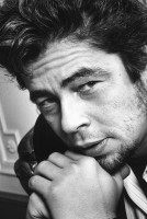 Benicio Del Toro photo #