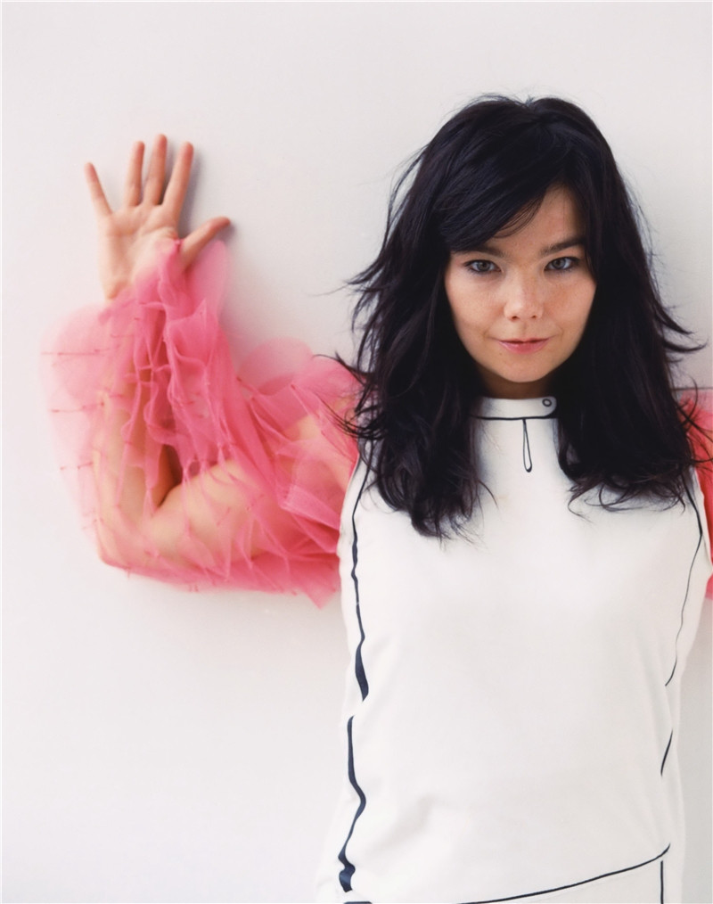 Bjork: pic #150559