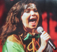 Bjork photo #