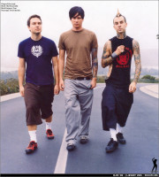 Blink 182 photo #