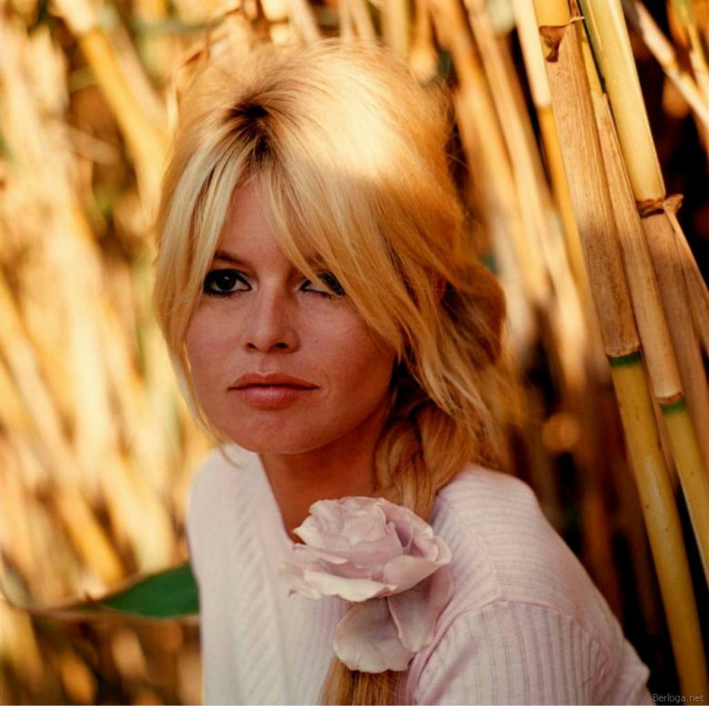 Brigitte Bardot photo 867 of 969 pics, wallpaper photo 480963