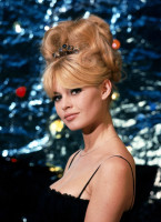 Brigitte Bardot photo #