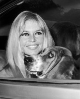photo 10 in Brigitte Bardot gallery [id379520] 2011-05-19