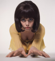 Britt Ekland photo #