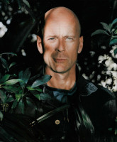 Bruce Willis photo #