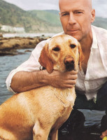 photo 15 in Bruce Willis gallery [id57652] 0000-00-00
